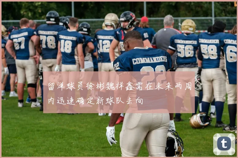 留洋球员徐彬魏祥鑫需在未来两周内迅速确定新球队去向